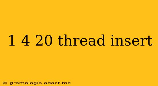 1 4 20 thread insert