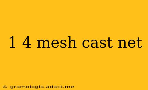 1 4 mesh cast net