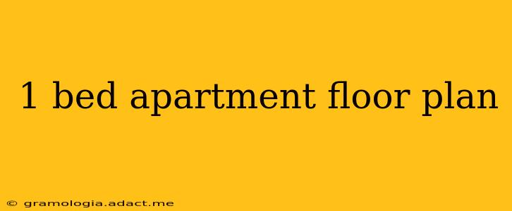 1 bed apartment floor plan