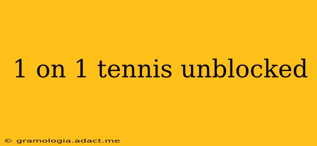 1 on 1 tennis unblocked