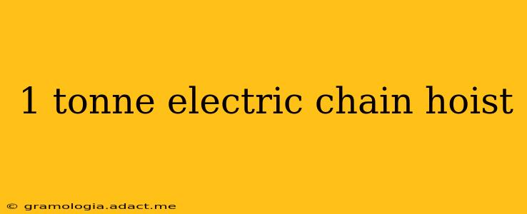 1 tonne electric chain hoist