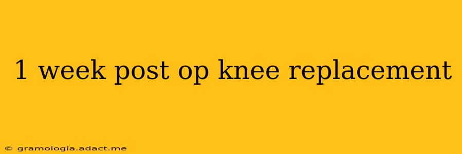 1 week post op knee replacement