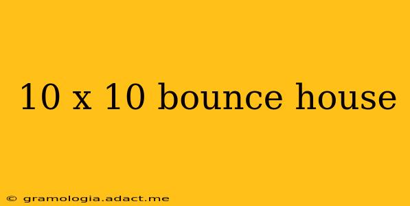 10 x 10 bounce house