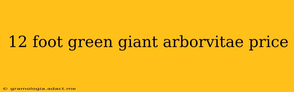 12 foot green giant arborvitae price