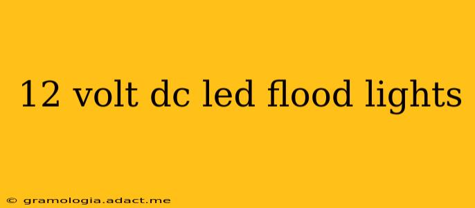 12 volt dc led flood lights