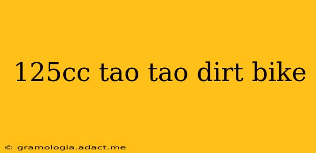 125cc tao tao dirt bike