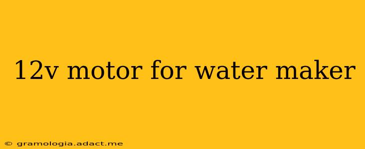 12v motor for water maker