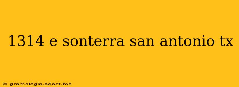 1314 e sonterra san antonio tx