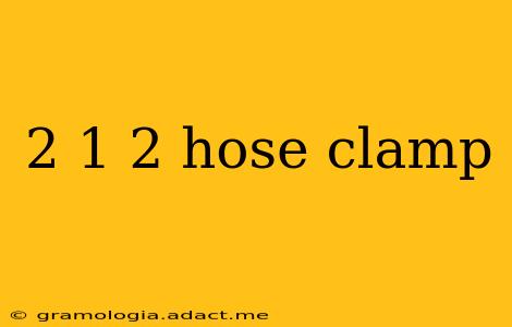 2 1 2 hose clamp