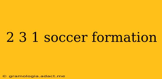 2 3 1 soccer formation