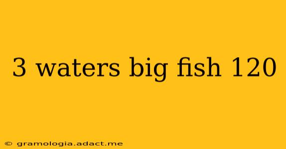 3 waters big fish 120