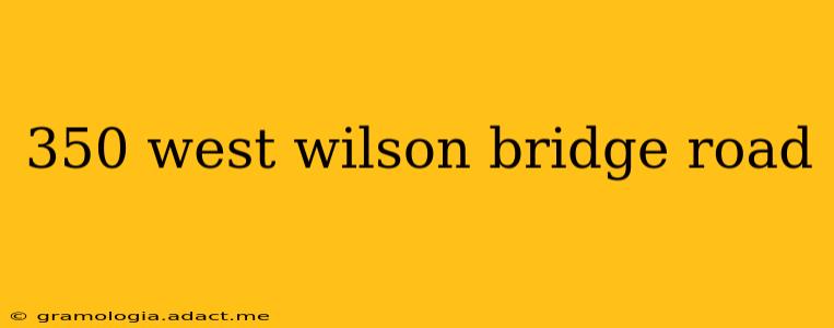 350 west wilson bridge road