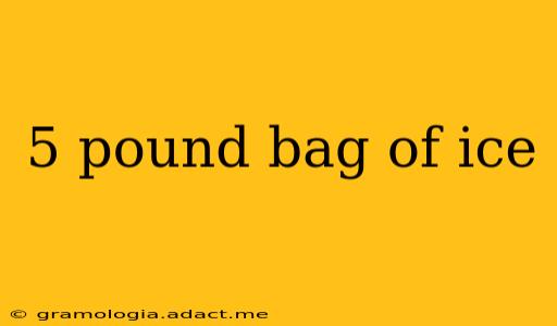 5 pound bag of ice
