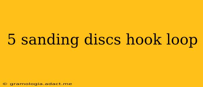 5 sanding discs hook loop