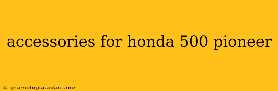 accessories for honda 500 pioneer