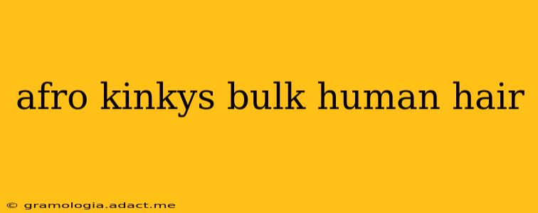 afro kinkys bulk human hair