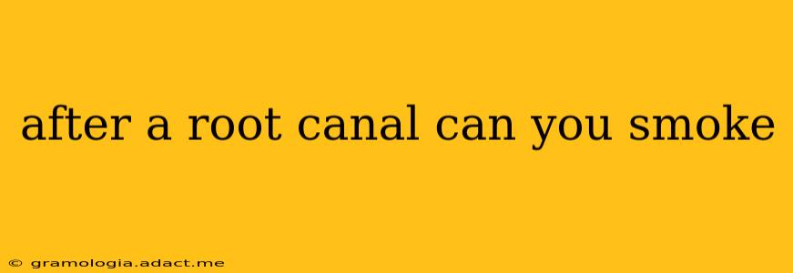 after a root canal can you smoke