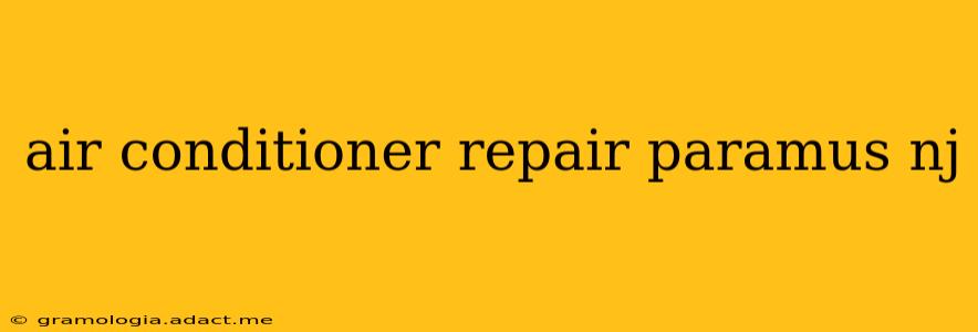 air conditioner repair paramus nj
