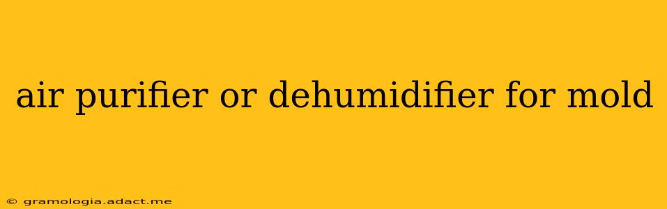 air purifier or dehumidifier for mold
