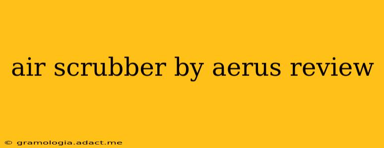 air scrubber by aerus review