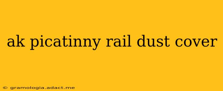 ak picatinny rail dust cover