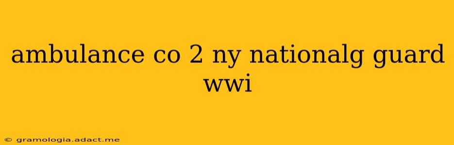 ambulance co 2 ny nationalg guard wwi