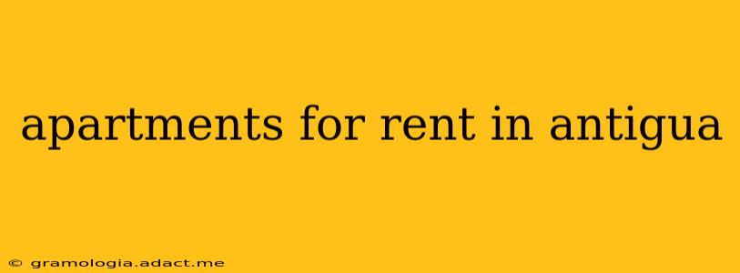 apartments for rent in antigua