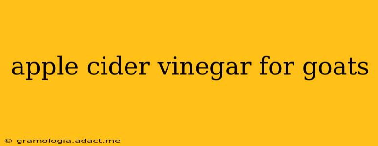 apple cider vinegar for goats