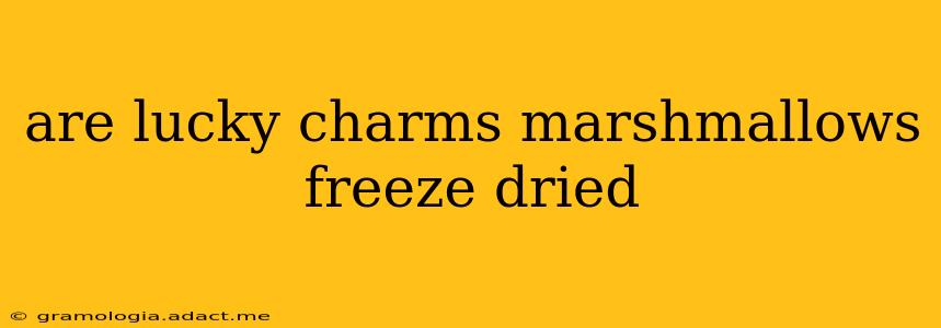 are lucky charms marshmallows freeze dried