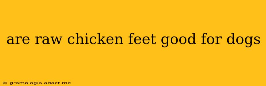 are raw chicken feet good for dogs