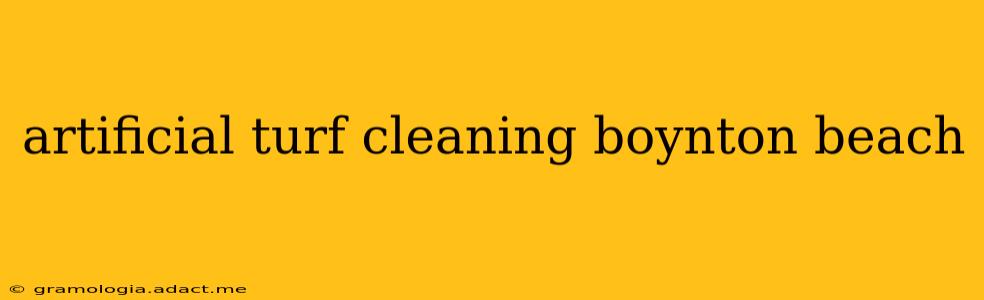 artificial turf cleaning boynton beach