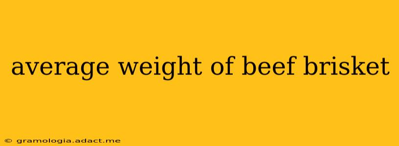 average weight of beef brisket
