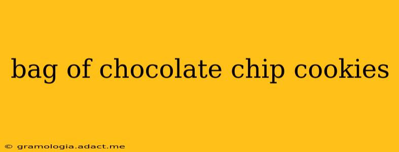 bag of chocolate chip cookies