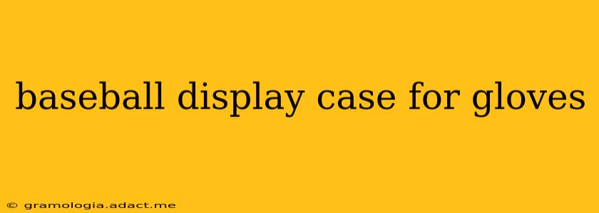 baseball display case for gloves