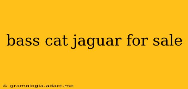 bass cat jaguar for sale