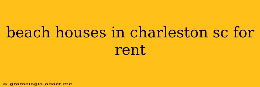 beach houses in charleston sc for rent
