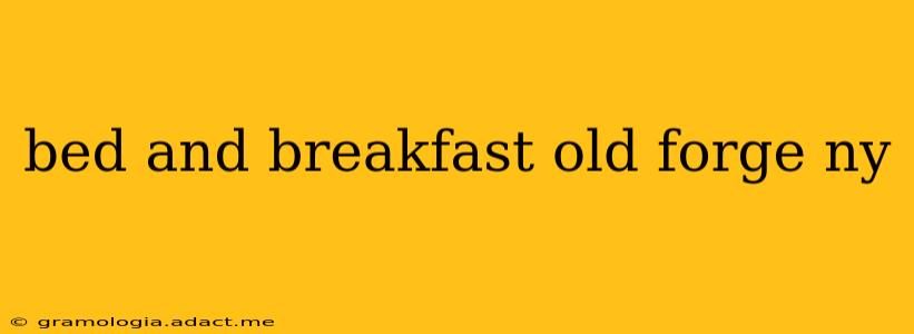 bed and breakfast old forge ny
