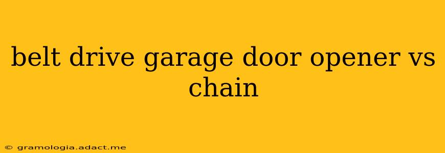 belt drive garage door opener vs chain