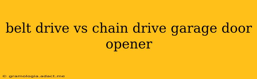 belt drive vs chain drive garage door opener