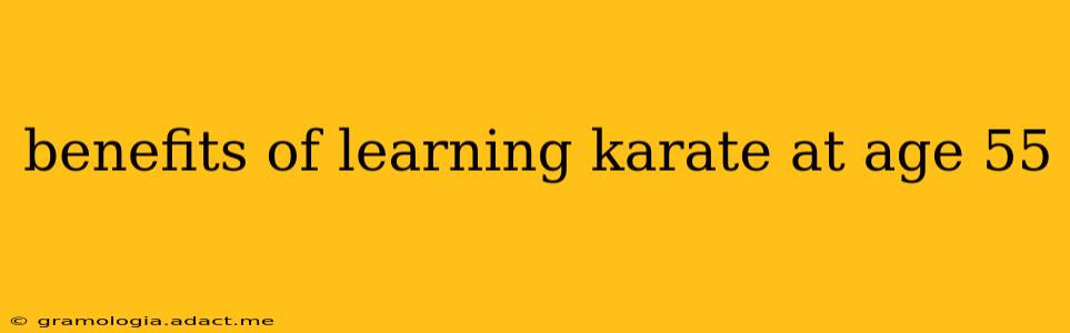 benefits of learning karate at age 55