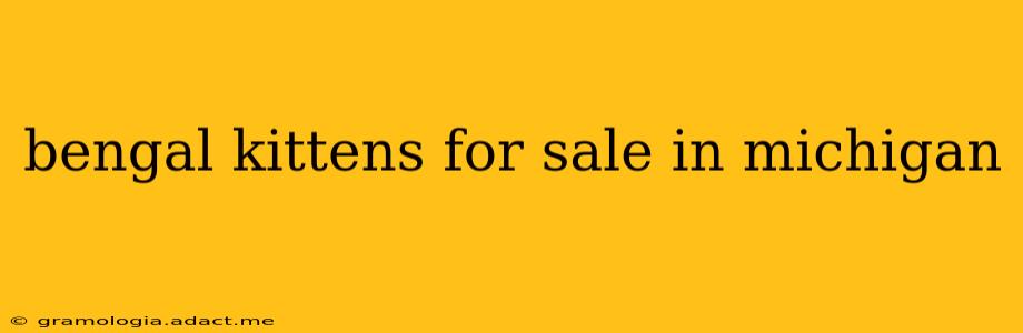 bengal kittens for sale in michigan
