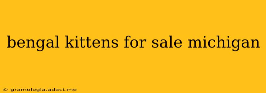 bengal kittens for sale michigan