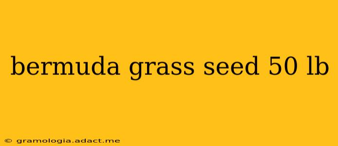 bermuda grass seed 50 lb