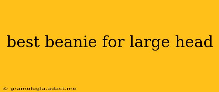 best beanie for large head