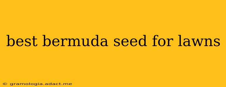 best bermuda seed for lawns