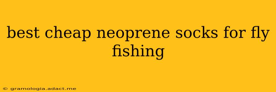 best cheap neoprene socks for fly fishing