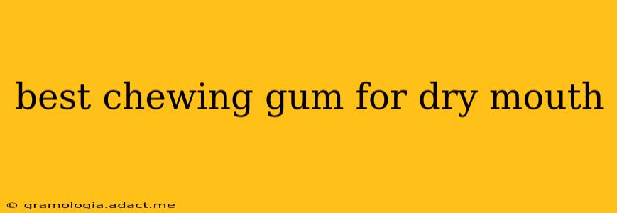 best chewing gum for dry mouth
