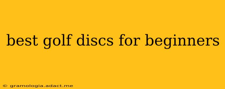 best golf discs for beginners