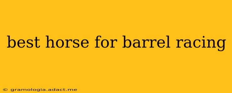 best horse for barrel racing