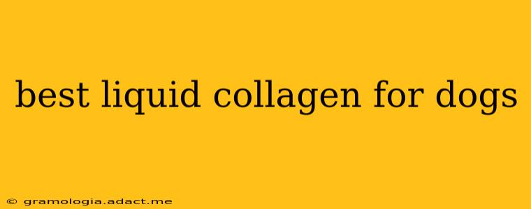 best liquid collagen for dogs